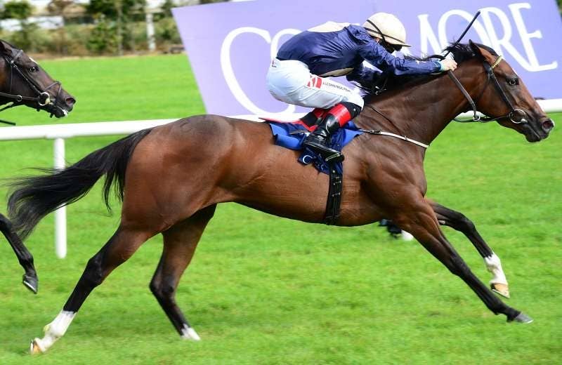 シャンペルゼリーゼ（Champers Elysees） | 競馬データベース