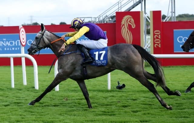競馬　競走馬 実使用ゼッケン ザラストロ  重賞馬 競馬 競走馬 実使用ゼッケン ザラストロ 重賞馬