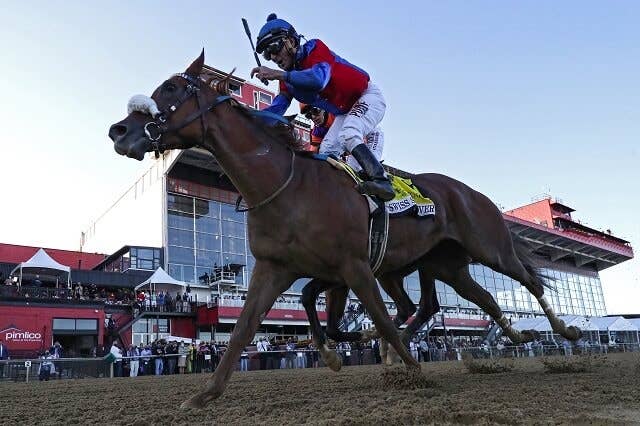 紅一点のスイススカイダイバー Kyダービー馬ねじ伏せプリークネスsを制覇 Jra Van Ver World