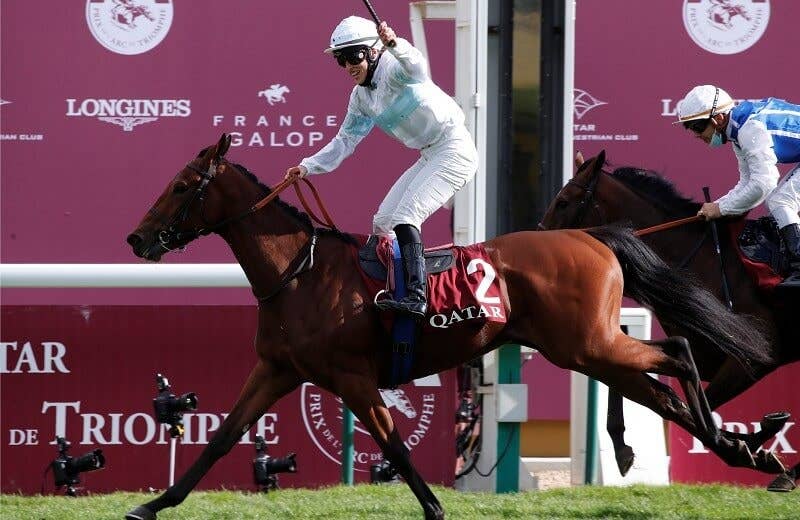 競馬ファンの方、海外レース、優勝馬 タイガータナカ（Tiger Tanaka） | 競馬データベース | JRA-VAN