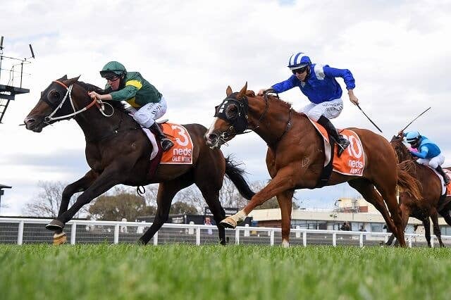競馬 ベスト ロードカナロア 関係者限定品 競馬 ベスト ロードカナロア 関係者限定品