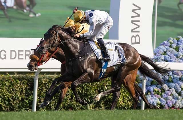 香港三冠馬ゴールデンシックスティ、ビューティー