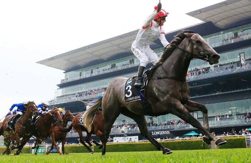 クラシックレジェンド Classique Legend 競馬データベース Jra Van Ver World