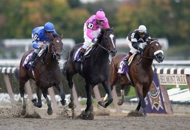 史上唯一のBCクラシック連覇、ティズナウが種牡馬を引退 JRAVAN World 海外競馬情報サイト