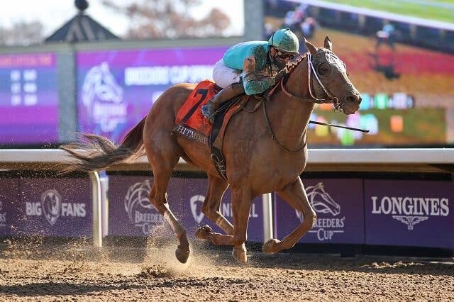 ブリーダーズカップスプリント（G1） 2020/11/7(土) | 日程