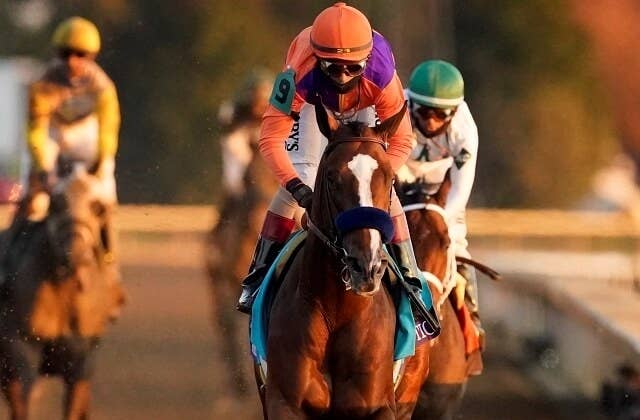 Bcクラシックなど制覇のオーセンティックにボーナス100万ドル 父の記録にも貢献 Jra Van Ver World