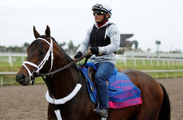 米G1馬トゥルーティンバーが引退、シガーマイルH制す JRAVAN World 海外競馬情報サイト