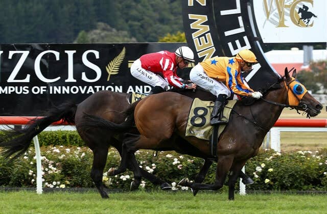 ニュージーランドG1レイルウェイH、アヴァンテージが5度目のG1制覇 JRAVAN World 海外競馬情報サイト