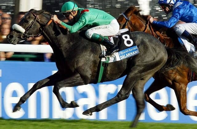 凱旋門賞馬ダラカニが死去、種牡馬としても成功 JRAVAN World 海外競馬情報サイト