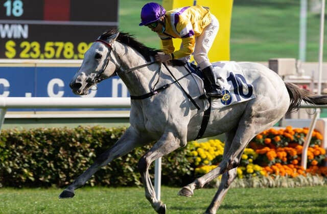 グロリアスドラゴン、軽ハンデ生かしてエグザルタント撃破 JRAVAN World 海外競馬情報サイト