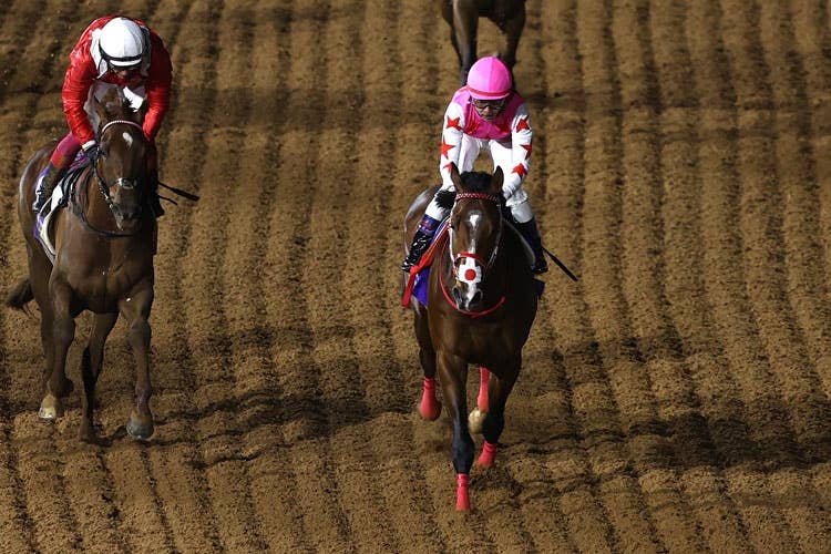 【サウジダービー】ピンクカメハメハが勝利して日本調教馬が連覇を達成（Photo by Getty Images）