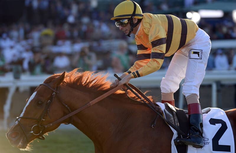 ワイズダン（Wise Dan） | 競馬データベース | JRA-VAN World