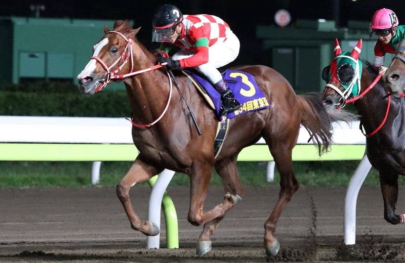 ジャスティン（Justin） | 競馬データベース | JRA-VAN World - 海外