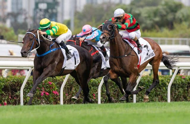 香港ダービーはスカイダルシが制覇 三冠は全て違う勝ち馬に Jra Van Ver World