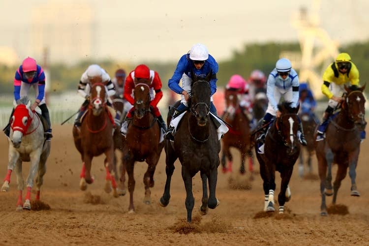 【UAEダービー】日本馬3頭が参戦してタケルペガサスの4着が最高だった（Photo by Getty Images）