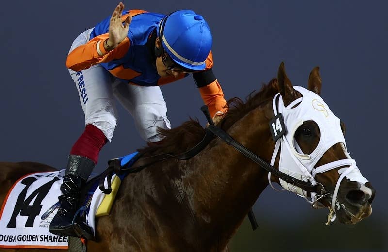 ゼンデン（Zenden） | 競馬データベース | JRA-VAN World - 海外