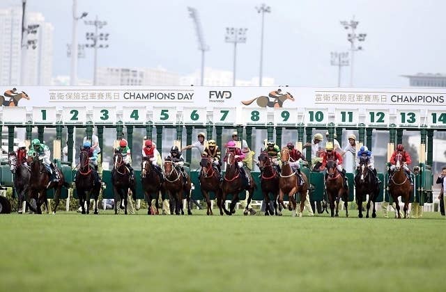 2025年最新】Yahoo!オークション - 競馬(トレーディングカード
