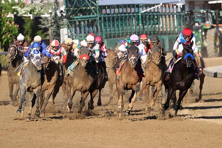 レースはメディーナスピリット（右端）が発馬を決めてハナを切った（Photo by Getty Images）