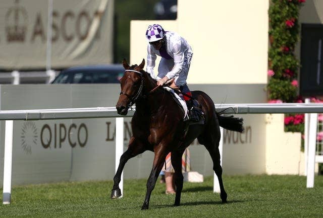 ポエティックフレア（Poetic Flare） | 競馬データベース | JRA-VAN