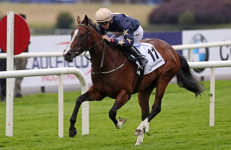 シャンペルゼリーゼ（Champers Elysees） | 競馬データベース