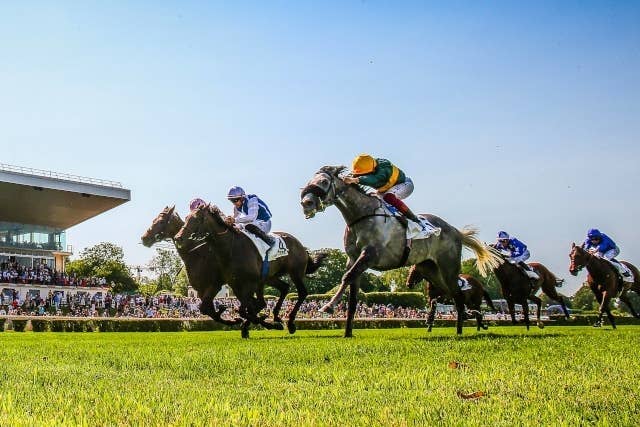 仏g2ウジェーヌアダム賞 仏ダービー6着のプリティータイガーが重賞初制覇 Jra Van Ver World