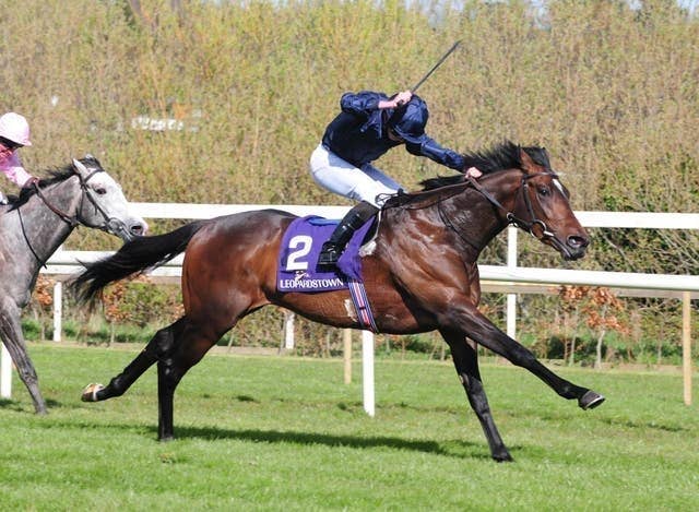 英ダービー1番人気馬と伊ダービー馬トウキョウゴールド 米ベルモントダービーで対決 Jra Van Ver World