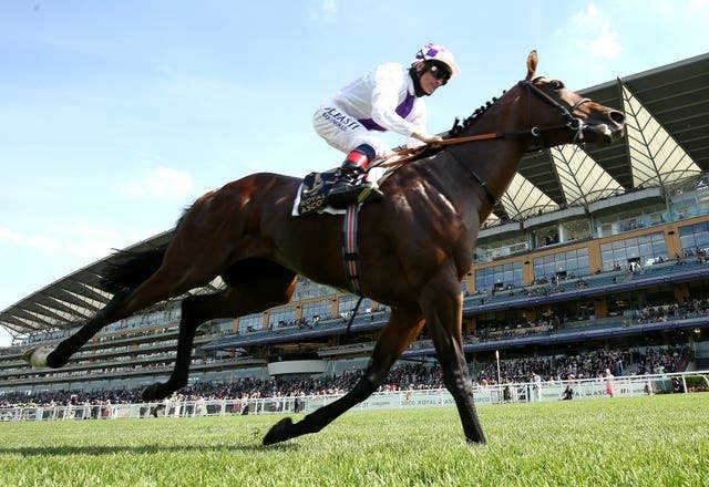 英2000ギニー馬ポエティックフレア、英G1サセックスSで強豪と