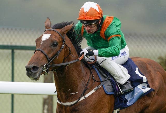 キングジョージ完敗のローンイーグル 英g2で仕切り直しへ Jra Van Ver World