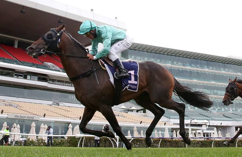 競馬ファンの方、海外レース、優勝馬 競馬ファンの方、海外レース、優勝馬 Overseas G1 Victories! ~52 in a