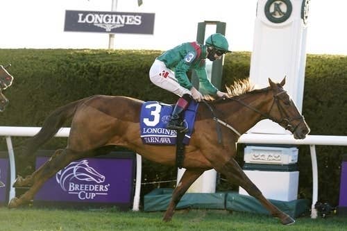 凱旋門賞有力馬のタルナワ まずは愛チャンピオンs挑戦 Jra Van Ver World