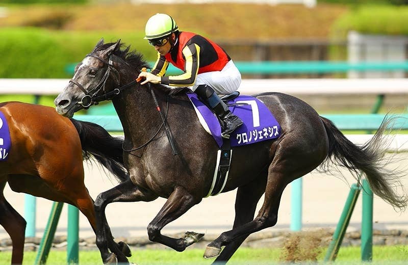 凱旋門賞目指すクロノジェネシスが栗東トレセンに帰厩 | JRA-VAN World