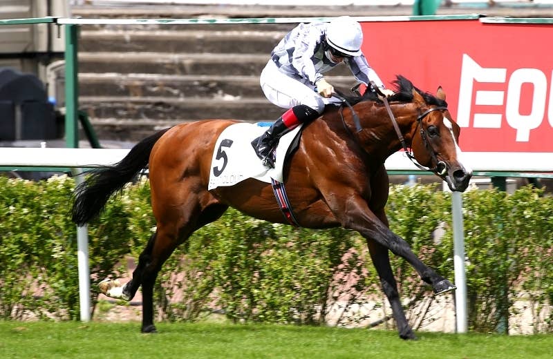 ブルーム Broome 競馬データベース Jra Van Ver World