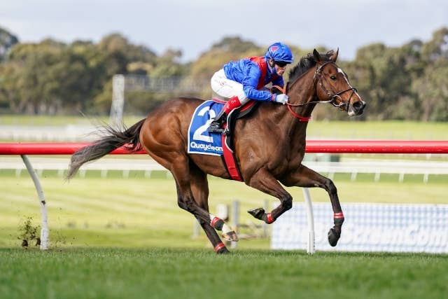 ザーキが重賞5連勝、豪アンダーウッドSで2度目のG1制覇 JRAVAN World 海外競馬情報サイト