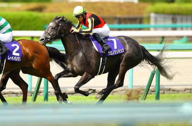 ◆　競馬　JRA　◆　クロノジェネシス　◆引退記念ピンバッジ◆１ＢＯＸ全１０種◆ ◇ 競馬 JRA ◇ クロノジェネシス ◇引退記念ピンバッジ