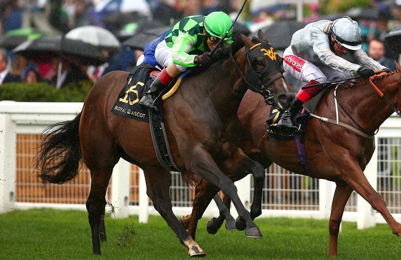 キマリ（Kimari） | 競馬データベース | JRA-VAN World - 海外競馬情報