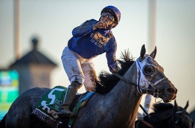 エッセンシャルクオリティとマックスフィールド、来年からゴドルフィンの種牡馬リストに | JRA-VAN World - 海外競馬情報サイト