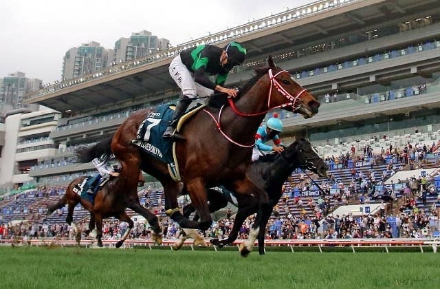 BCフィリー＆メアターフ出走馬確定、ラヴズオンリーユーはアウダーリャ