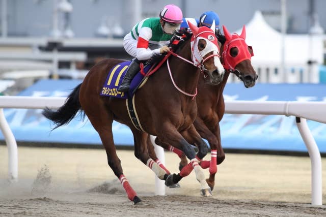 BCディスタフ出走馬確定、マルシュロレーヌはレトルースカら強豪に挑戦 | JRA-VAN World - 海外競馬情報サイト