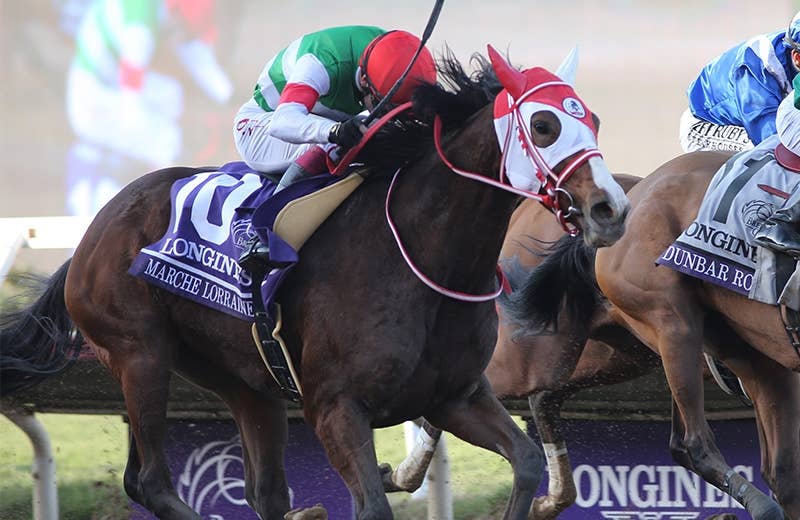 マルシュロレーヌ（Marche Lorraine） | 競馬データベース | JRA-VAN