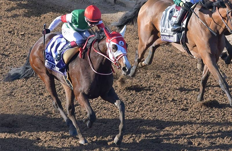 マルシュロレーヌ（Marche Lorraine） | 競馬データベース | JRA-VAN