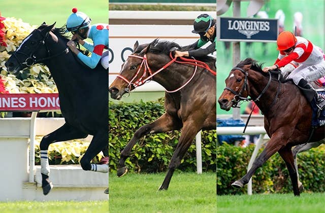 香港国際競走 日本馬のレース登録一覧 Jra Van Ver World