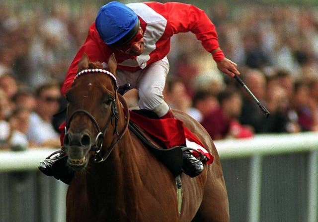 英国の大種牡馬ピヴォタルが死去 シユーニらの父 Jra Van Ver World