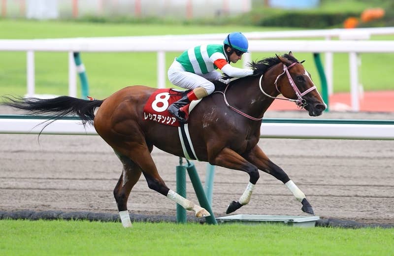 競馬 レシステンシア 2022年香港スプリント実使用ゼッケン レシステンシア（Resistencia） | 競馬データベース | JRA-VAN World