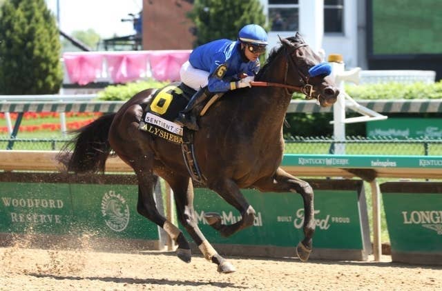 競馬の極み 不来方賞Vナルカミはジャパンダートクラシックへ 田中博調教師「様子