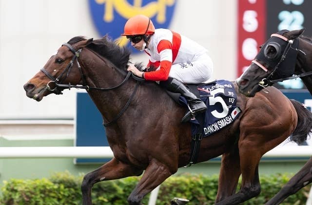 人気の春夏 香港スプリント】勝つのは香港勢か、精鋭揃いの日本馬か？ 香港 ぬいぐるみ