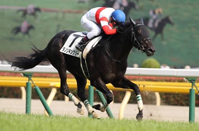 2021香港マイル | JRA-VAN ver.World
