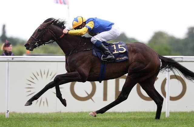 フランスの名種牡馬ルアーヴルが引退 JRAVAN World 海外競馬情報サイト