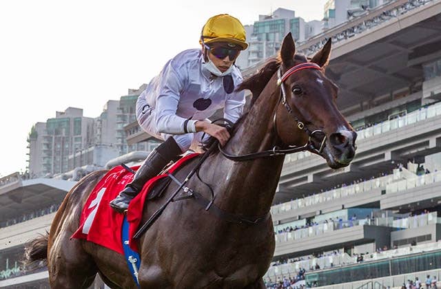 ゴールデンシックスティぬいぐるみ 香港最強馬 競馬 ウマ娘 - ぬいぐるみ