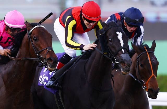 ソングライン　競馬　出資者限定ブルゾン　Lサイズ ソングライン引退記念デザインポスター (B2サイズ) | HORSEGOODSnet