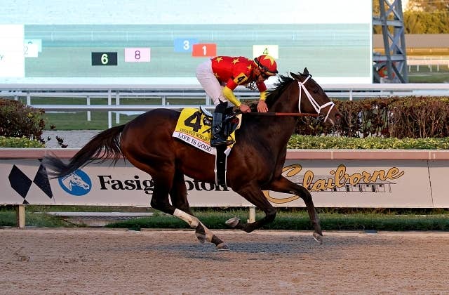 極希少】チュウワウィザード チャンピオンズカップ優勝 現地的中馬券